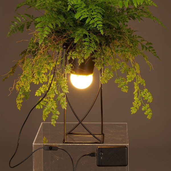 Dekostandleuchte Farnmix, ca. 60cm, grün, auf Metallgestell quadr. 30x12,5cm, LED, 1,5m