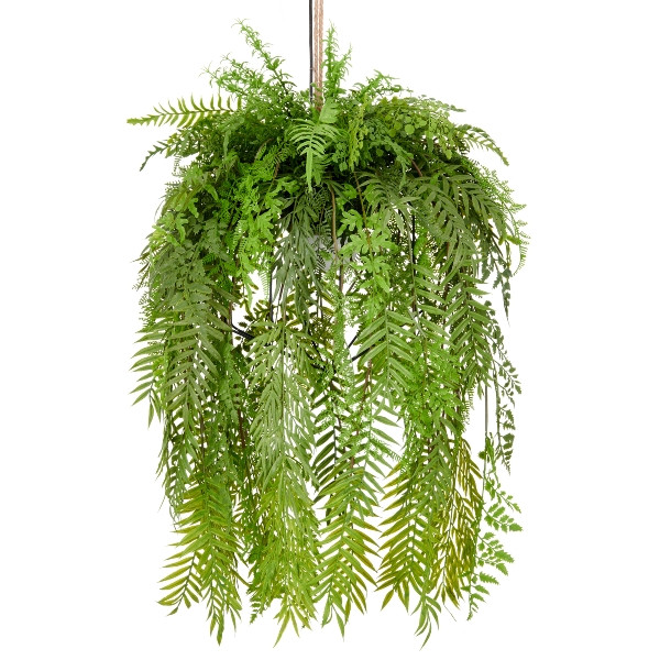 Deko Hängeleuchte Farnmix, ca. 80x40cm, grün, Fassung E27, 1,5m Zuleitung