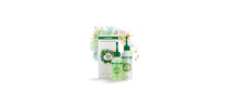 Elkaderm Dream Perm Alpin F DW Set Well Lotion 80ml + Fixierung 100ml