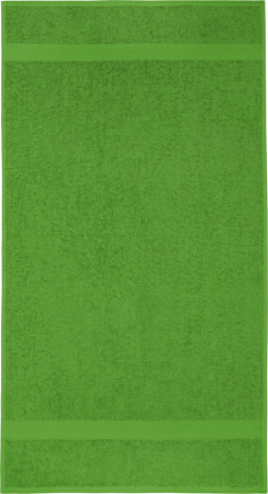 STANDARD Handtuch Apfel