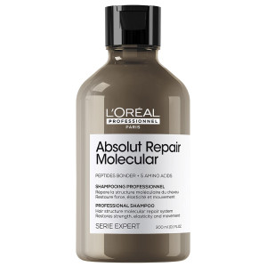 L'Oreal  Serie Expert  Abs. Rep. Molecular Shampoo 300 ml