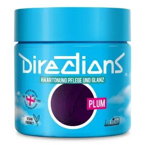 La Riche Directions plum 100 ml Haartönung