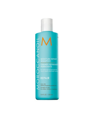 Moroccanoil Regenerierendes Shampoo 250 ml