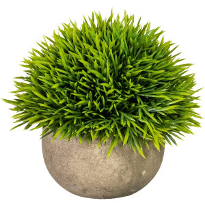 Grashalbkugel, ca 12cm, grün, im Naturtopf 9x6cm