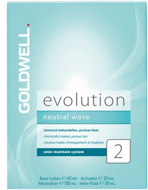Goldwell Evolution 2 Set coloriertes Haar