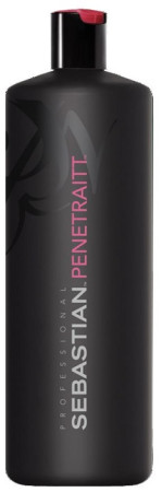 Sebastian Penetraitt Shampoo 1000 ml