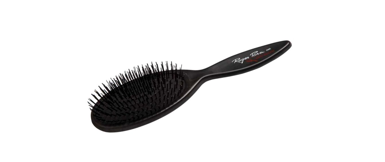 Roger Para Bürste 06.16.006 antistatic   schwarz groß