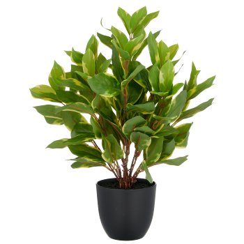 Epipremnum aureum x8, ca 40cm, grün, Kunststoff, im Kunststofftopf 11,5x10,5cm mit